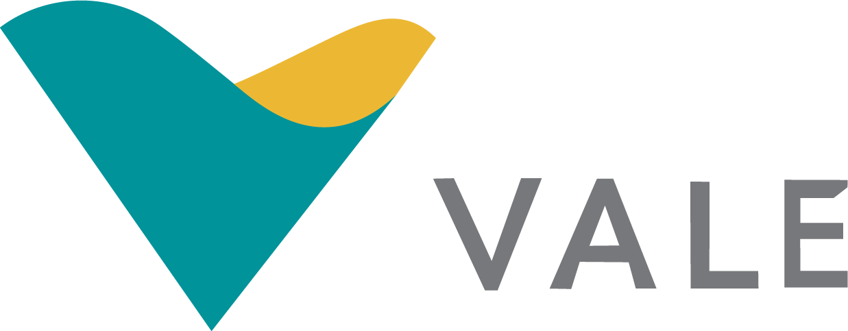 Logotipo_Vale-01.png